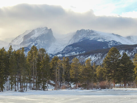 Snow-covered mountains loom under a blanket of clouds, with a dense forest of evergreen trees in the foreground. A layer of snow and ice covers the ground, suggesting a cold, wintry environment. - Powered by Adobe
