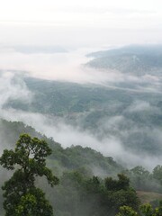 Fog on the Mountain