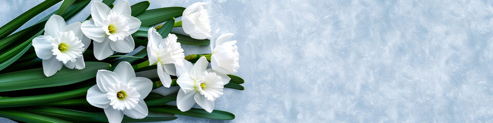 Obraz premium Beautiful Paperwhite Narcissus Flowers Arranged in Frosty Garden