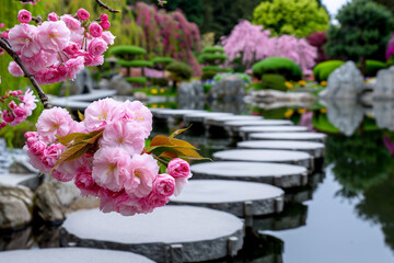 Serene Japanese Garden with Tranquil Pond