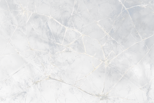 Abstract close-up of a complex, white, web-like pattern on a dark Transparent Background.