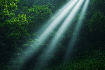 Fototapeta premium Ethereal light beams pierce a lush, green forest, creating a mystical and serene atmosphere.