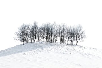 Snowy hill with bare trees