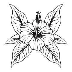 Minimalistic Hibiscus Flower Black and White Line Art Vector Illustration
