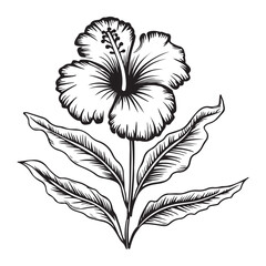 Minimalistic Hibiscus Flower Black and White Line Art Vector Illustration