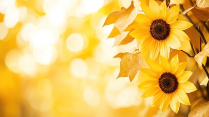 Naklejka premium A vibrant display of sunflowers surrounded by warm autumn leaves and soft bokeh background.