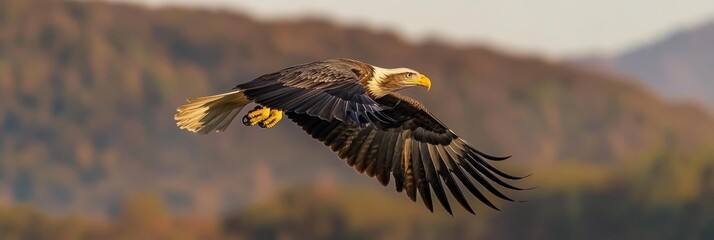 Obraz premium A majestic eagle soaring gracefully against a scenic backdrop.
