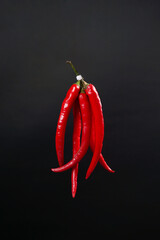 Large red chili served on a black background