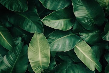 Tropical jungle leaves overlapping, creating a rich, exotic pattern with deep greens 