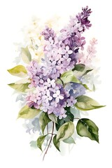 A beautiful watercolor illustration of lilac flowers with green leaves.