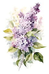 Fototapete A beautiful watercolor illustration of lilac flowers with green leaves. © Desain