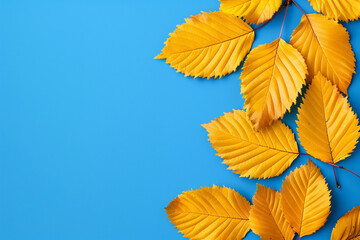 Obraz premium Beautiful Yellow Leaves on Blurred Background