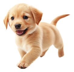Happy puppy running joyfully with tail wagging in excitement isolated on transparent background
