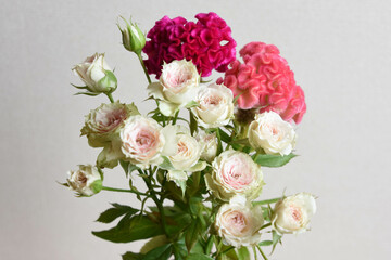 薔薇とケイトウ