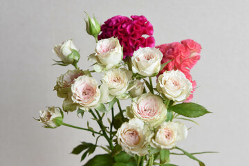 薔薇とケイトウ