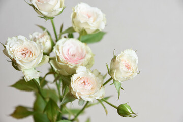 ストロベリーミルフィーユ