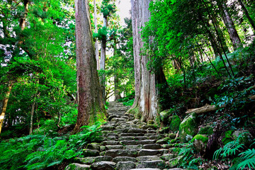 熊野古道