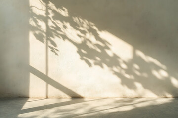 Gentle sunlight casts leaf shadows on a textured wall creating a serene indoor atmosphere
