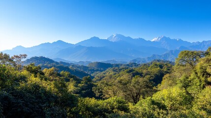 Fototapeta premium Panoramic view of lush green forest with distant majestic mountains under a clear blue sky.