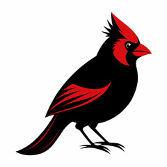 Cardinal Bird Svg Bundle, Cardinal Bird Silhouette, Cardinal Bird Clipart, Cardinal Bird Vector