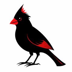 Cardinal Bird Svg Bundle, Cardinal Bird Silhouette, Cardinal Bird Clipart, Cardinal Bird Vector