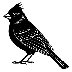 Cardinal Bird Svg Bundle, Cardinal Bird Silhouette, Cardinal Bird Clipart, Cardinal Bird Vector