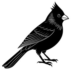 Cardinal Bird Svg Bundle, Cardinal Bird Silhouette, Cardinal Bird Clipart, Cardinal Bird Vector