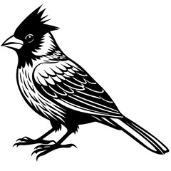 Cardinal Bird Svg Bundle, Cardinal Bird Silhouette, Cardinal Bird Clipart, Cardinal Bird Vector