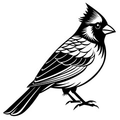 Cardinal Bird Svg Bundle, Cardinal Bird Silhouette, Cardinal Bird Clipart, Cardinal Bird Vector