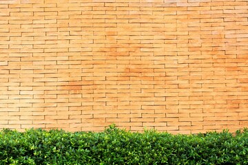 wall background, mortar concrete, cement texture