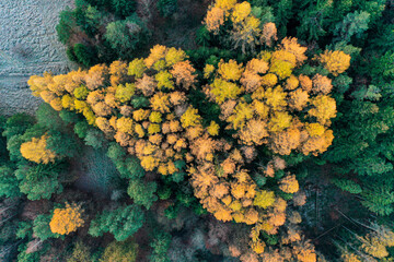 Wschód słońca Beskid Sądecki, Malnik
