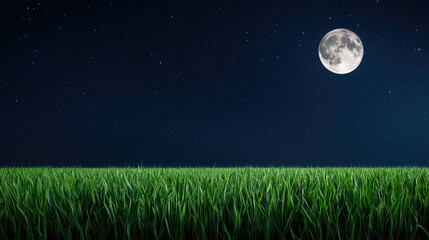 A serene night scene featuring a full moon illuminating lush green grass under a starry sky.