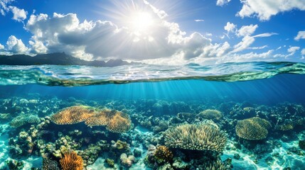 A tranquil underwater view of a coral lagoon bathed in sunlight, showcasing vibrant marine life and coral formations