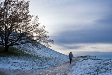 A man walks up a hill in the park in Munich (Bavaria, Germany) in autumn. First snowfall. Cloudy sky. A dog in the distance. Frosty atmosphere