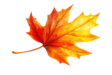 Fototapeta premium A vibrant autumn maple leaf displaying striking shades of red and orange.