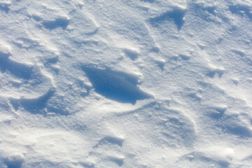 The snow is white and the ground is covered in it