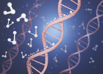 Human Cell Biology DNA Molecular Structure, DNA Double Helix Spiral Molecule, 3D Rendering