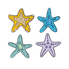 Hand Drawn Starfish Doodle Illustration