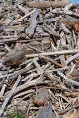 積み上げられた流木のイメージ