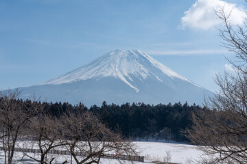 朝霧高原から見る冬の富士山
