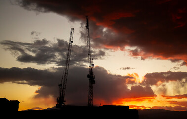 Fototapety na wymiar - Fototapeta24.pl