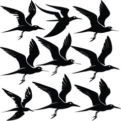 Obraz premium Black and White Silhouette Illustration of Sooty Terns Flying: Bird Vector Graphic for Ornithology and Wildlife Design Projects