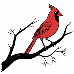 Cardinal Bird SVG vector, Instant Digital Download