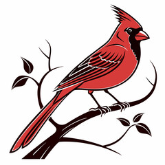Cardinal Bird SVG vector, Instant Digital Download