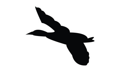 Flying Duck Silhouette Design  And Vector Illustration. 