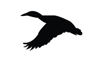 Flying Duck Silhouette Design  And Vector Illustration. 