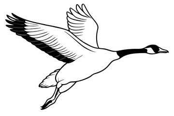 Canadian goose vector art illustration