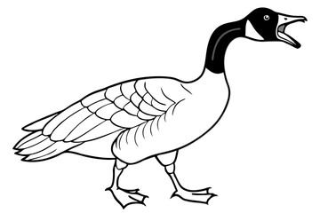 Canadian goose vector art illustration © Jhanto