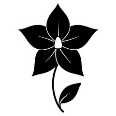 black and white flower