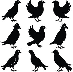Fototapeta premium Black Bird Silhouettes Vector Art: Flying Pigeon, Dove Graphics, Bird Clip Art, Wildlife Illustration, Ornithology Design Elements